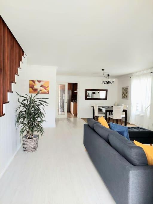 La De Ananas - House Villa Ponta Delgada (Sao Miguel)